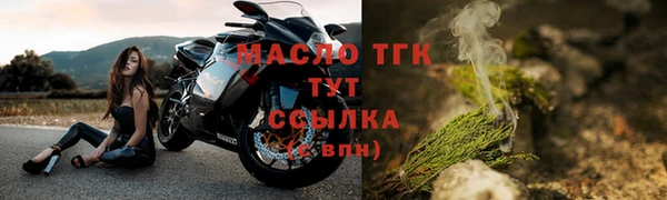 гашик Козельск