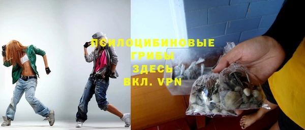 гашик Козельск