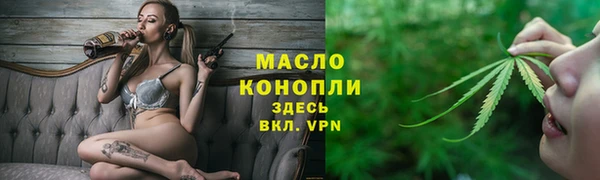 гашик Козельск