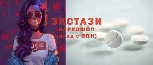 гашик Козельск