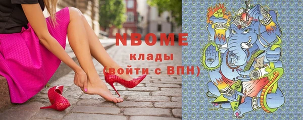 гашик Козельск