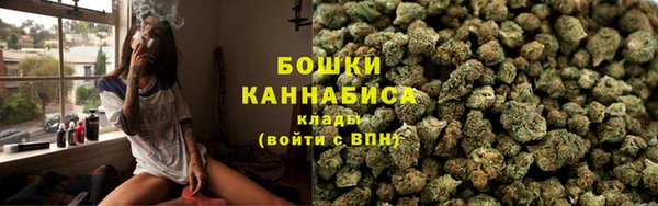 гашик Козельск