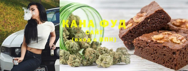 гашик Козельск