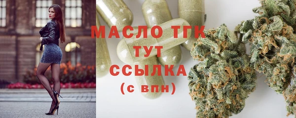 гашик Козельск
