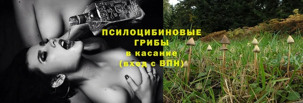 марки nbome Козловка
