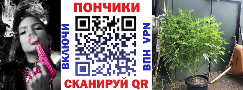 Купить где  Костомукша  Бошки марихуана Bruce Banner 